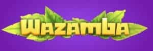 Jogo da roleta spin pay